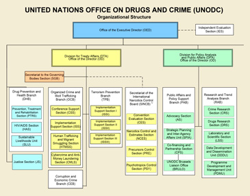 UNODC chart