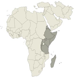 Eastern African