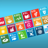 Офисы на местах и их роль в реализации Целей в области устойчивого развития Фото: УНП ООН