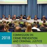 Необходимость объединения усилий в борьбе с киберперступлениями - в Вене стартовала 27-я сессия Комиссии по предупреждению преступности и уголовному правосудию. Фото: UNODC