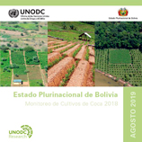 Latest UNODC Monitoring Report shows decline of coca cultivations in Bolivia