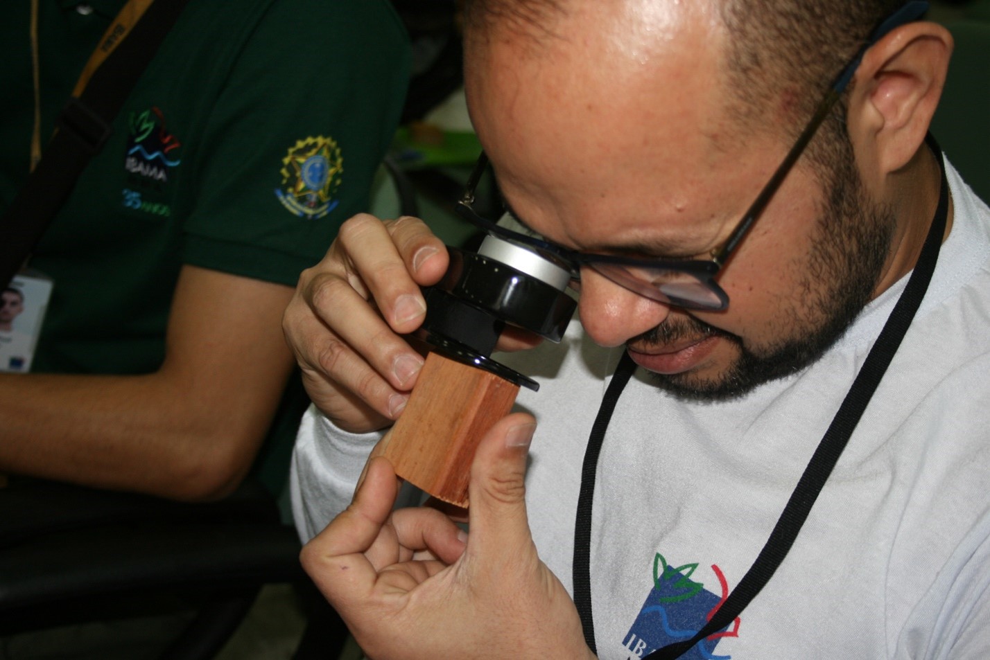 Participantes do curso aprendem a manusear lupas para identificação de madeira.