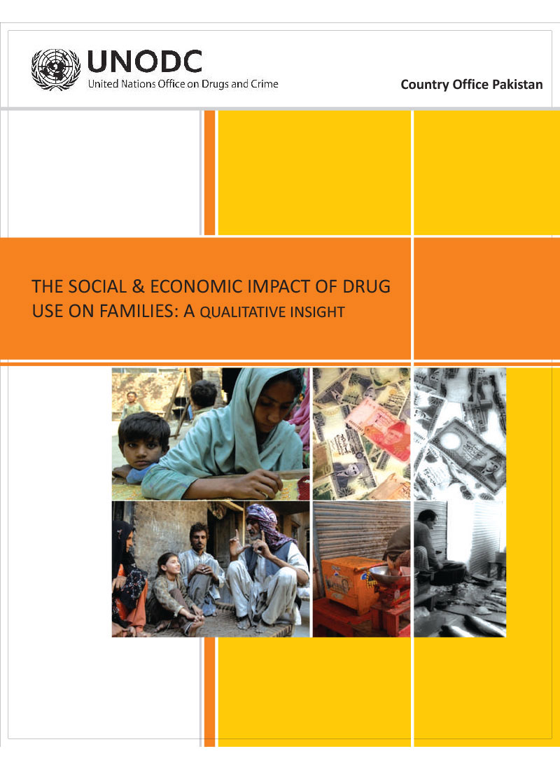 The Social and Economic Impact of Drug Use on Families: A Qualitative Insight