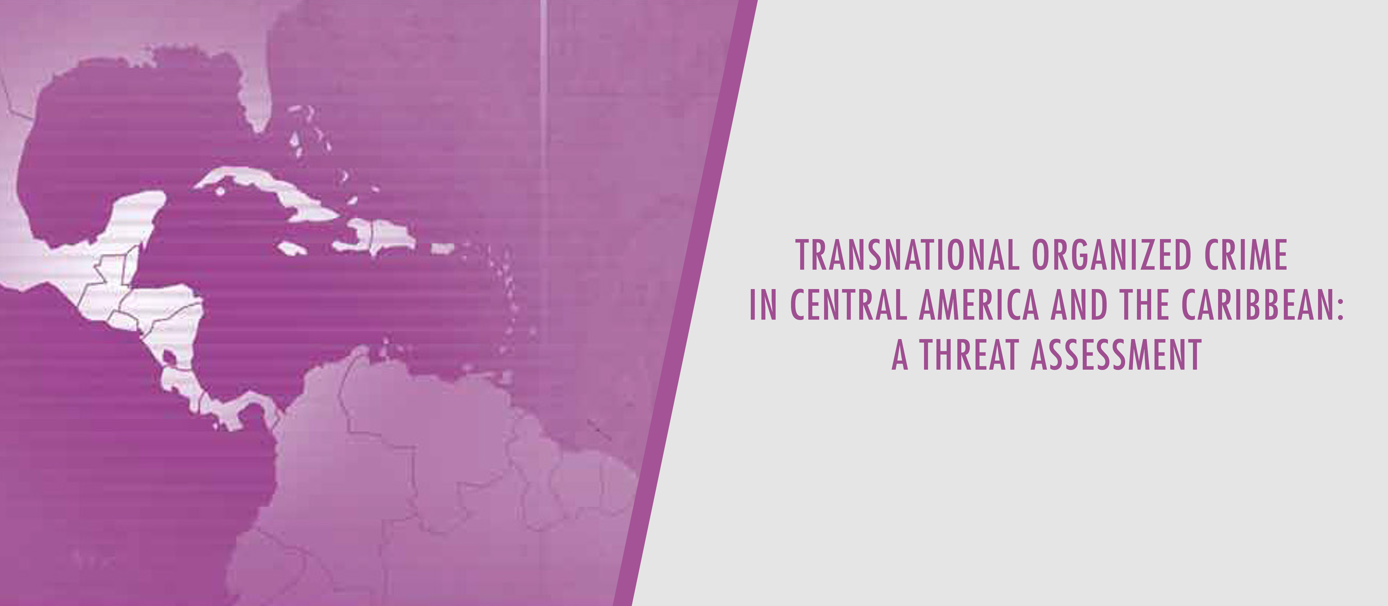 Research on Transnational Organized Crime