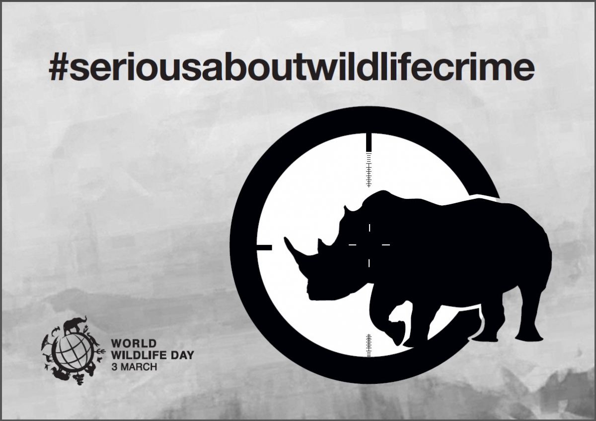 1 the world wildlife. Wildlife of the World. Всемирным днём дикой природы World Wildlife Day cites. Wildlife Day. Un Wildlife Day 2023.