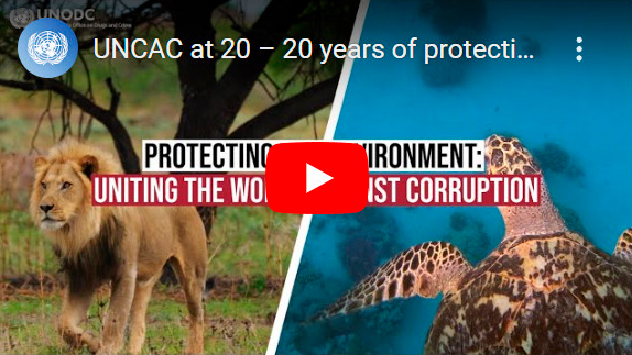 UNCAC At 20 - Uniting The World Against Corruption